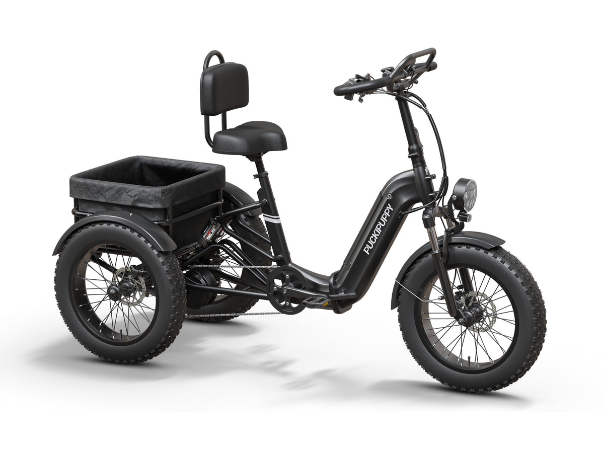 Puckipuppy Rottweiler Etrike - view 3