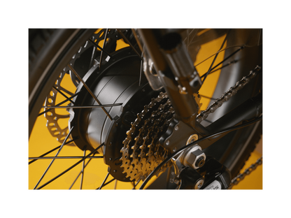 RadRunner™ Max Electric Cargo Utility Bike