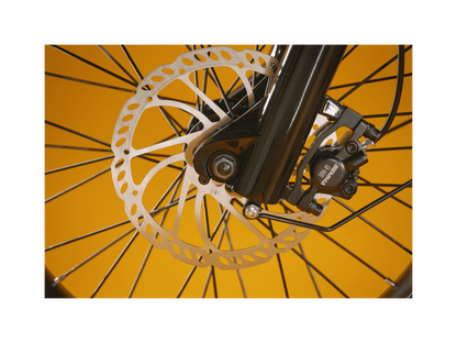RadRunner™ Plus Electric Cargo Utility Bike