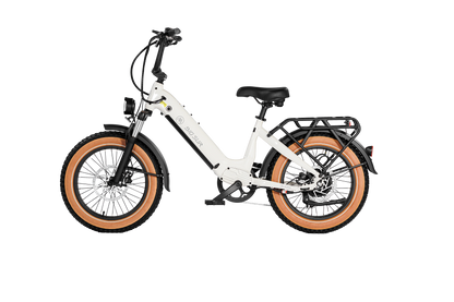 AIMA Big Sur Sport 20" E-bike