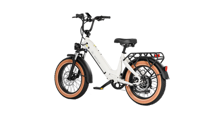AIMA Big Sur Sport 20" E-bike