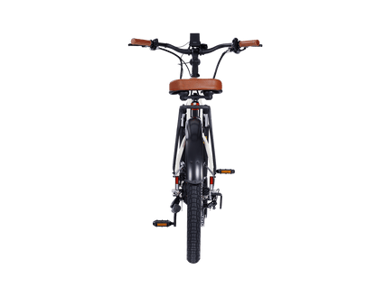 AIMA Santa Monica Ebike - view 19