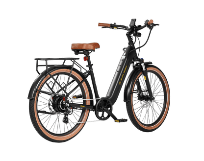 AIMA Santa Monica Ebike - view 14