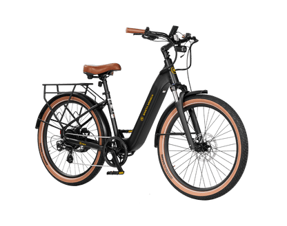 AIMA Santa Monica Ebike - view 12