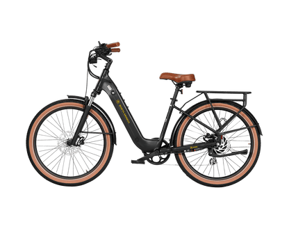 AIMA Santa Monica Ebike - view 9