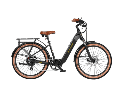 AIMA Santa Monica Ebike - view 13