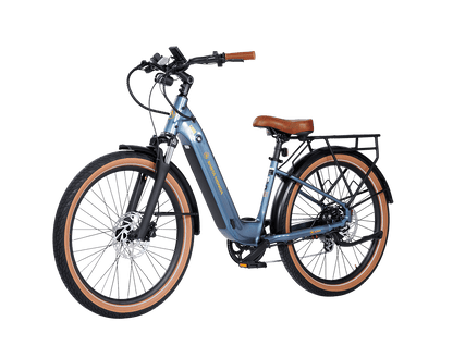 AIMA Santa Monica Ebike - view 6