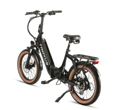 Lynx Folding E-Bike