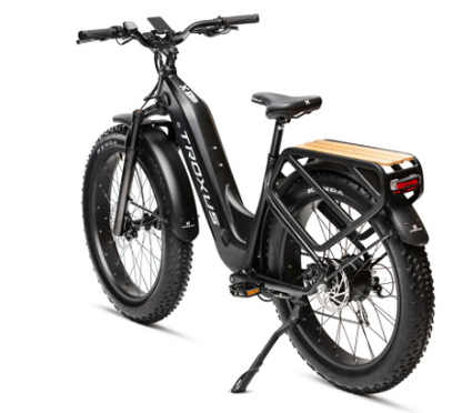 Troxus Explorer Plus Step Thru E-Bike