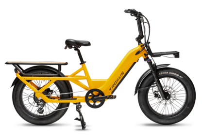 Troxus Lynx Cargo E-bike
