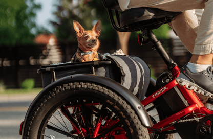 Velotric Triker Electric Tricycle product image 15
