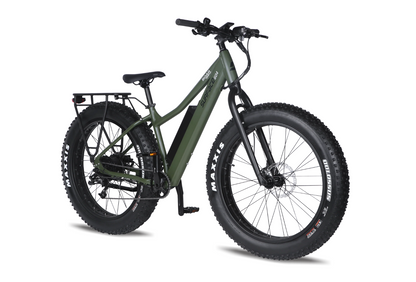 Surface 604 - Boar Explorer E-bike