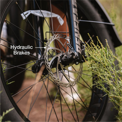 XPeak2 High-Step eBike