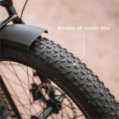 XPeak2 High-Step Long-Range eBike