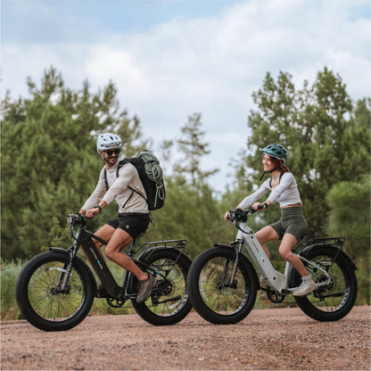 XPeak2 High-Step Long-Range eBike