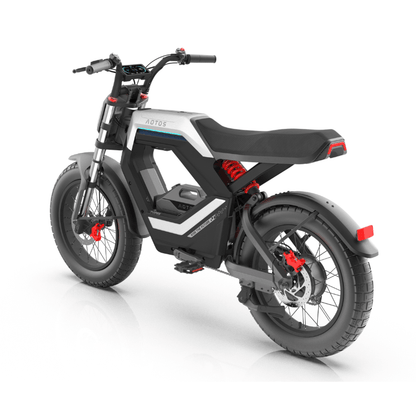 AOTOS FLUX X26 Series eBike