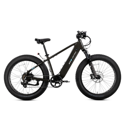 XPeak2 High-Step Long-Range eBike