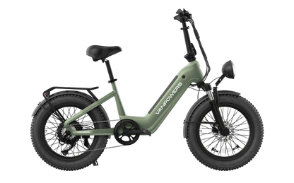 Vanpowers Cycanon 20 in Fat Tire E-bike