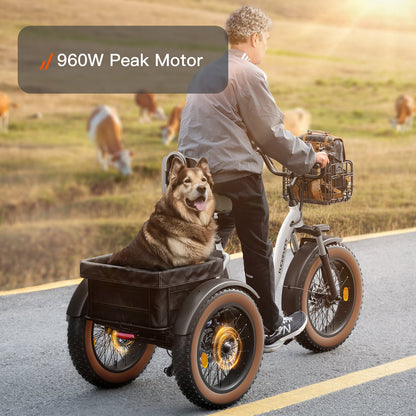 Puckipuppy Alaskan Etrike - view 13