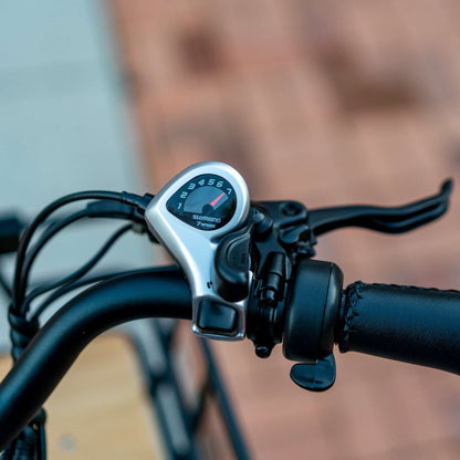 EMOJO Bison Pro Urban Cruiser - view 9
