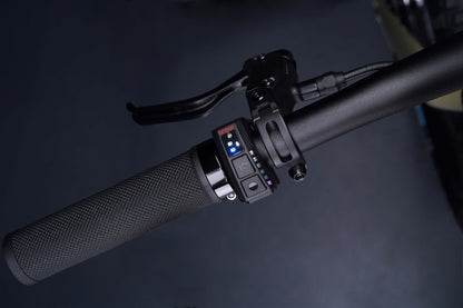 Serial 1 - BASH/MTN E-bike