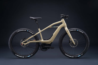 Serial 1 - BASH/MTN E-bike