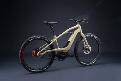 Serial 1 - BASH/MTN E-bike