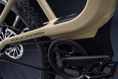 Serial 1 - BASH/MTN E-bike