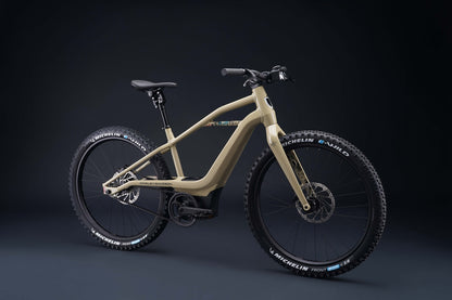 Serial 1 - BASH/MTN E-bike