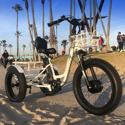 EMOJO - Caddy E-bike Trike