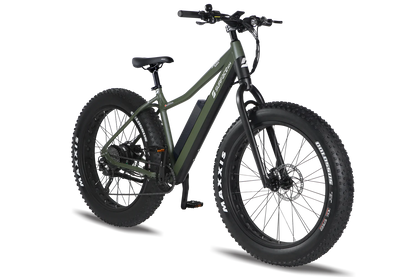 Surface 604 - Boar Explorer E-bike