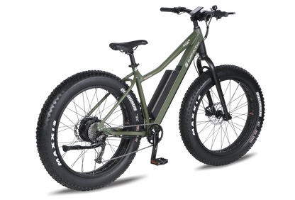 Surface 604 - Boar Explorer E-bike