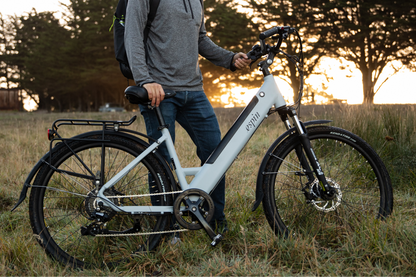 ESPIN - 21 FLOW E-bike
