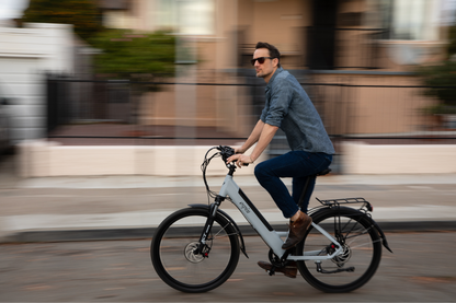 ESPIN - 21 FLOW E-bike