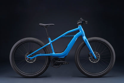 Serial 1 - MOSH/CTY E-bike