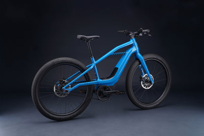 Serial 1 - MOSH/CTY E-bike