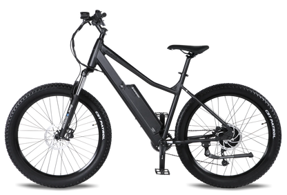 Surface 604 - SHRED E-bike