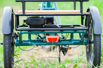 EMOJO - Bison S Folding Trike