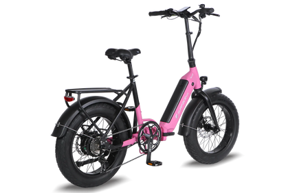 Surface 604 - TWIST E-bike
