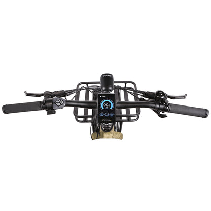 Surface 604 - Boar Hunter  E-bike