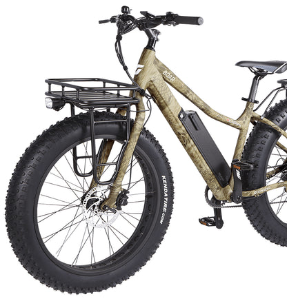 Surface 604 - Boar Hunter  E-bike