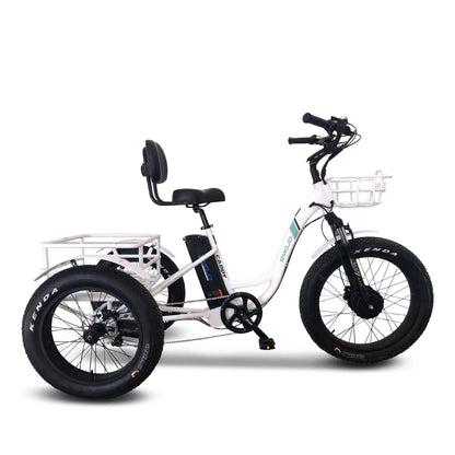 EMOJO - Caddy Pro trike E-bike